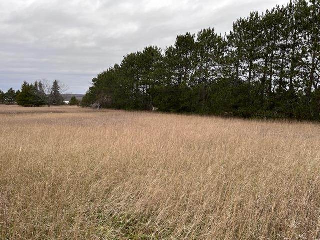 7. Land for Sale at 7201 Rolling Meadow Trail Harbor Springs, Michigan 49740 United States