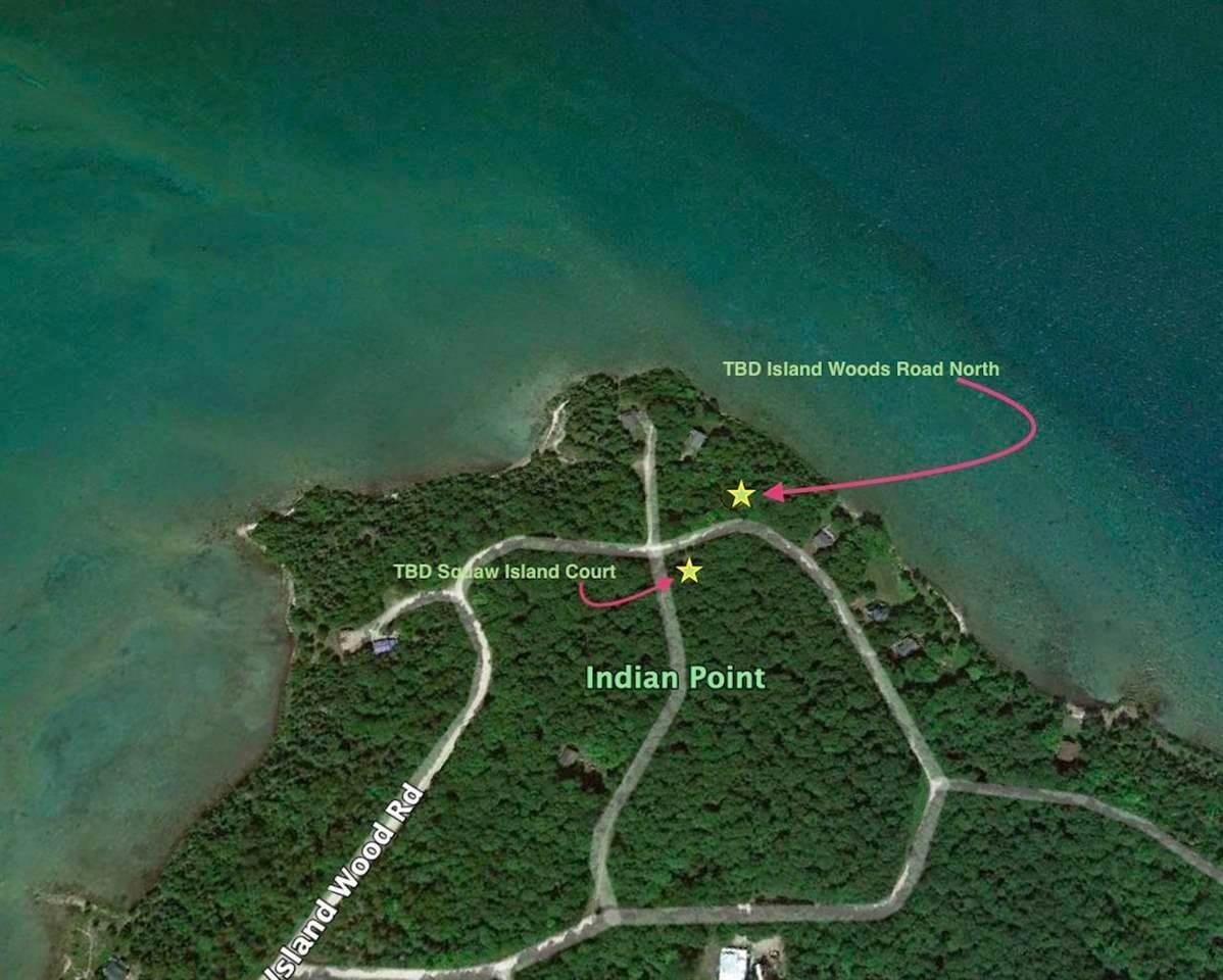6. Land for Sale at TBD N Island Woods Rd, Lot 464 Beaver Island, Michigan 49782 United States