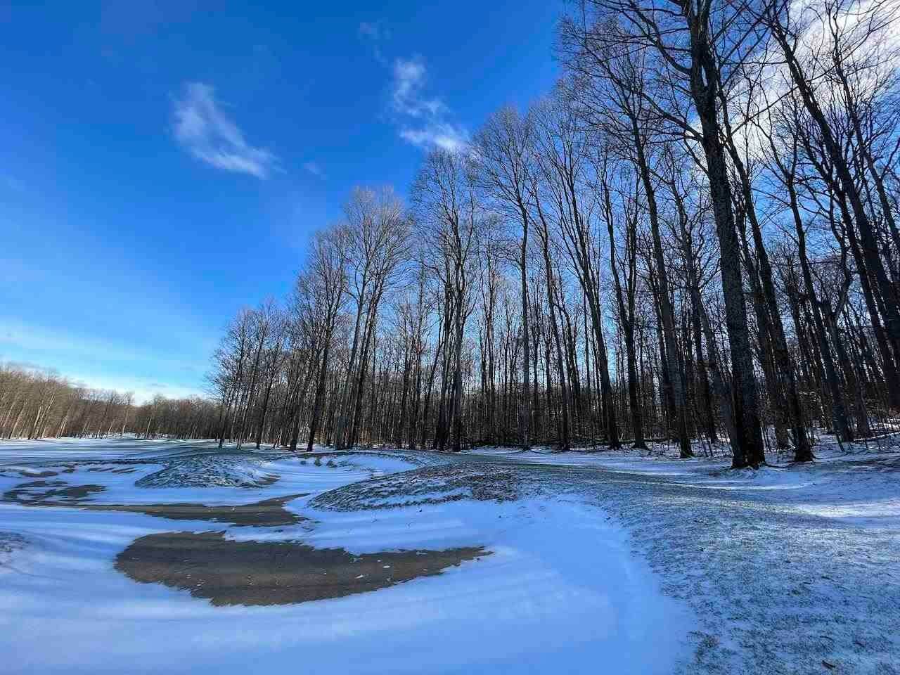 17. Land for Sale at Unit 72,73,75 Val Halla Court Bellaire, Michigan 49615 United States