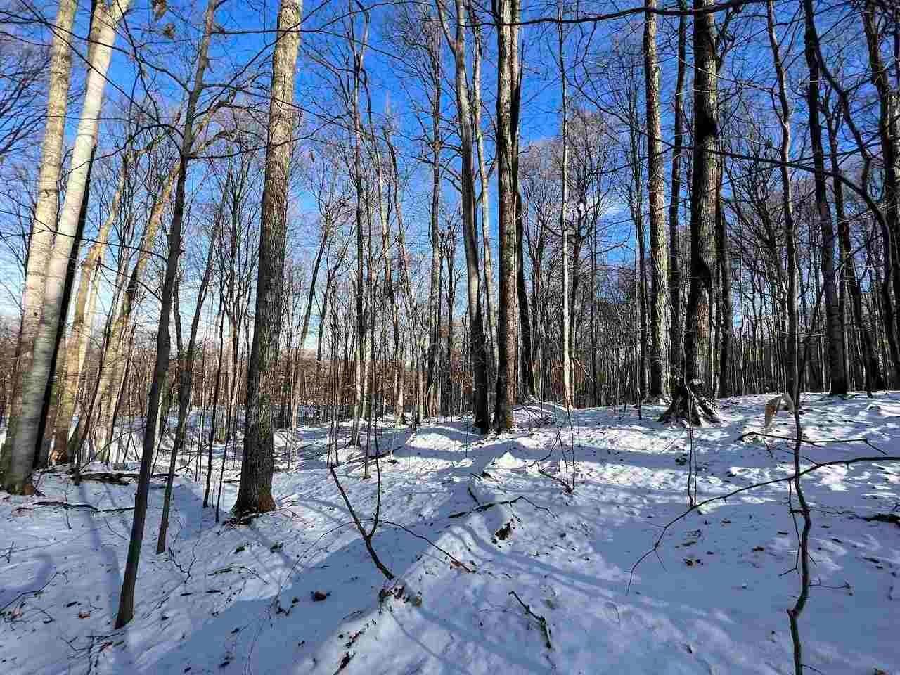 8. Land for Sale at Unit 72,73,75 Val Halla Court Bellaire, Michigan 49615 United States