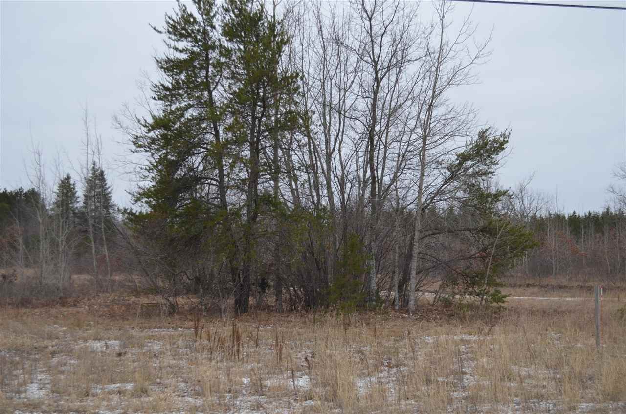 3. Land for Sale at TBD Commerce Boulevard Indian River, Michigan 49749 United States