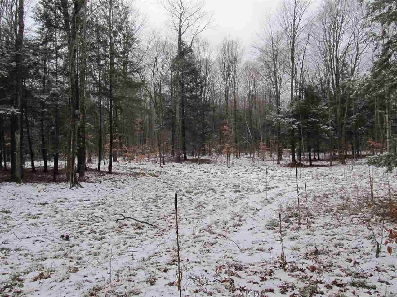 6. Land for Sale at 8040 Pleasantview Woods Drive Harbor Springs, Michigan 49740 United States