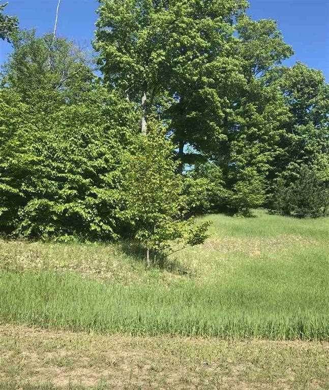 6. Land for Sale at Lot 71 & 72 Lost Woods Drive Boyne Falls, Michigan 49713 United States