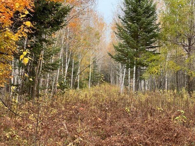 32. Land for Sale at 8266 Dekruif Road Levering, Michigan 49755 United States