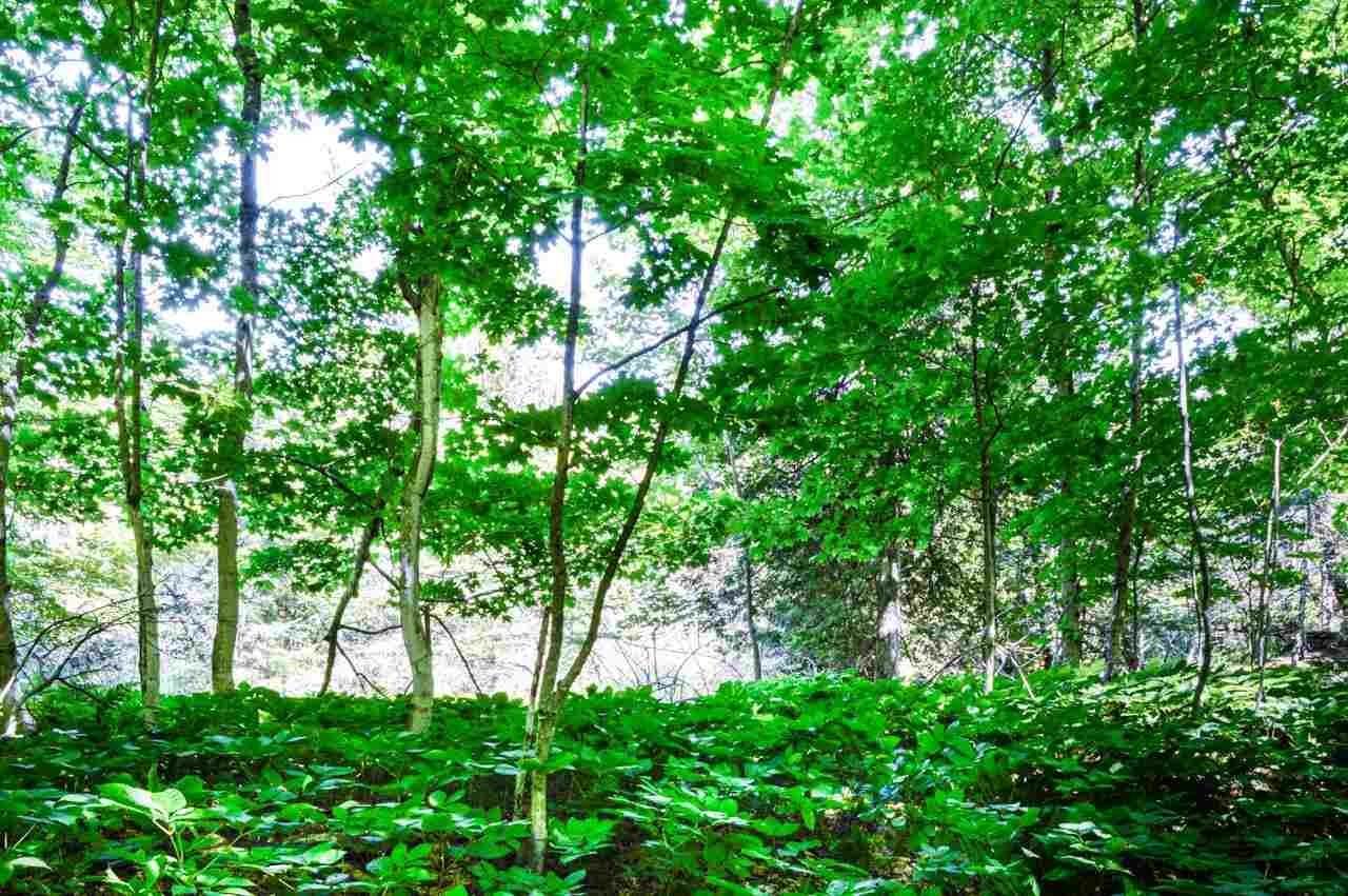 2. Land for Sale at TBD Wild Woods Court Beaver Island, Michigan 49782 United States