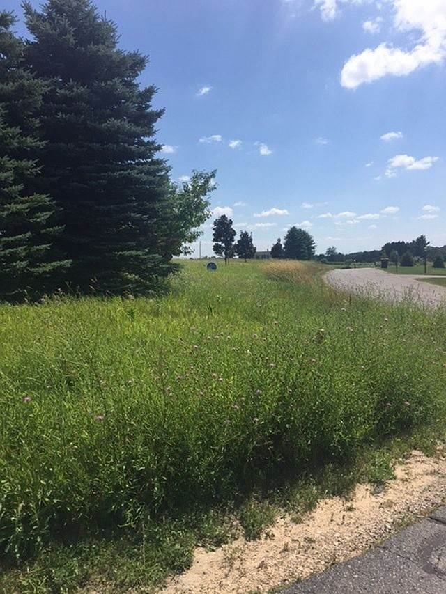 4. Land for Sale at Clover Charlevoix, Michigan 49720 United States
