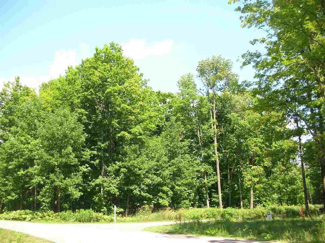 3. Land for Sale at 9595 Maple Isle Court Alanson, Michigan 49706 United States