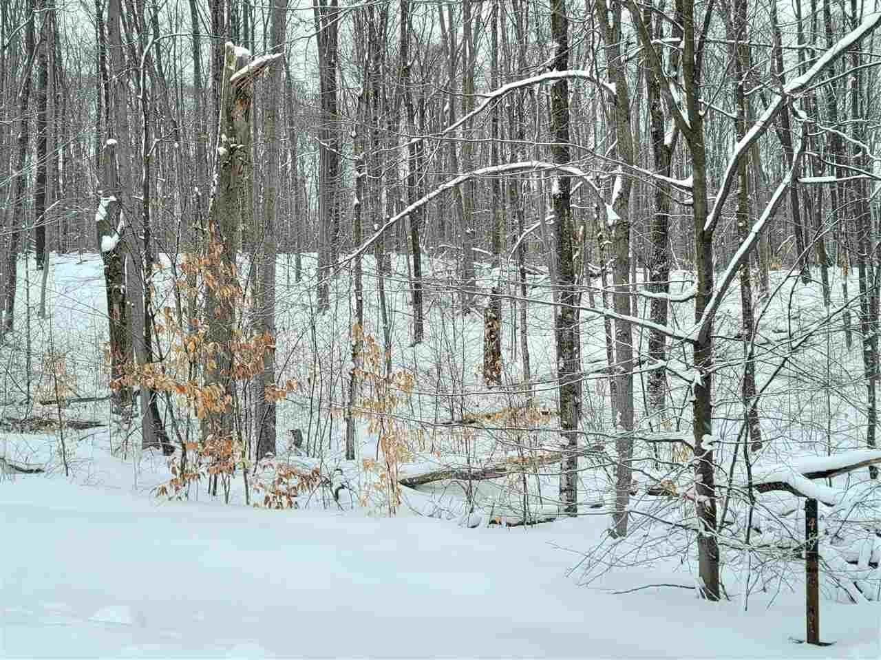 11. Land for Sale at 6153 Wintergreen Drive Harbor Springs, Michigan 49740 United States