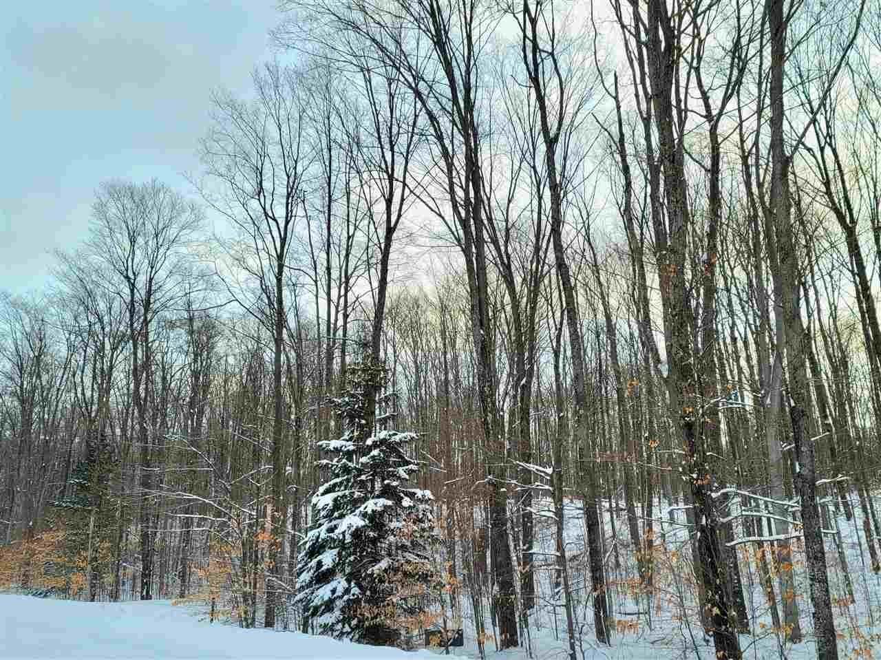 8. Land for Sale at 6153 Wintergreen Drive Harbor Springs, Michigan 49740 United States
