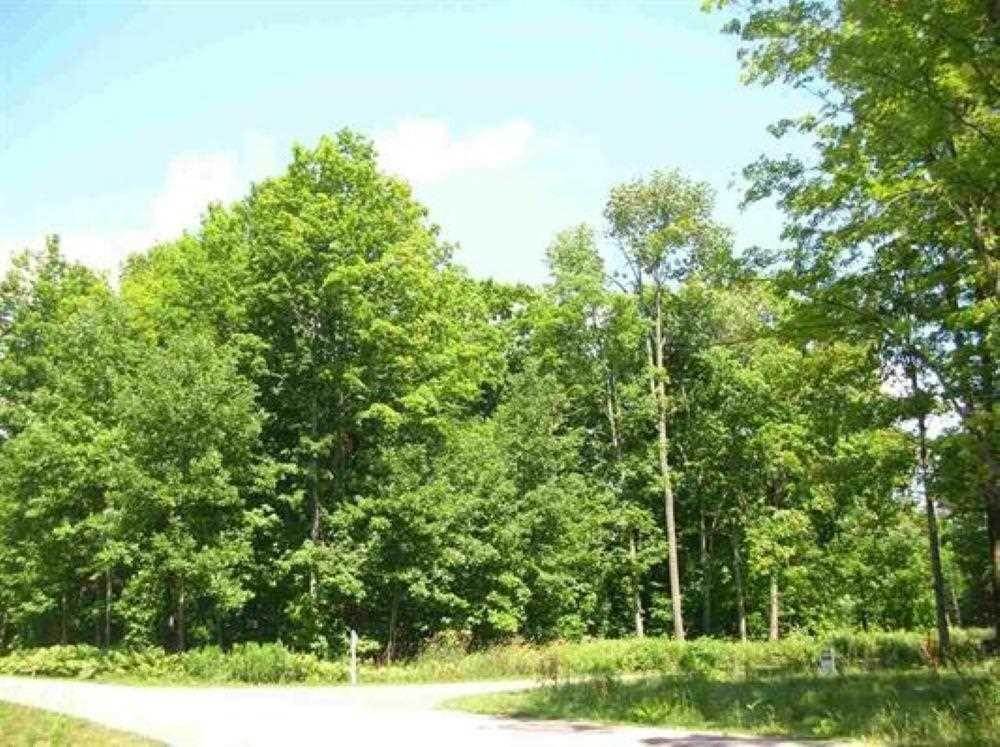 3. Land for Sale at TBD Maple Isle Court Alanson, Michigan 49706 United States