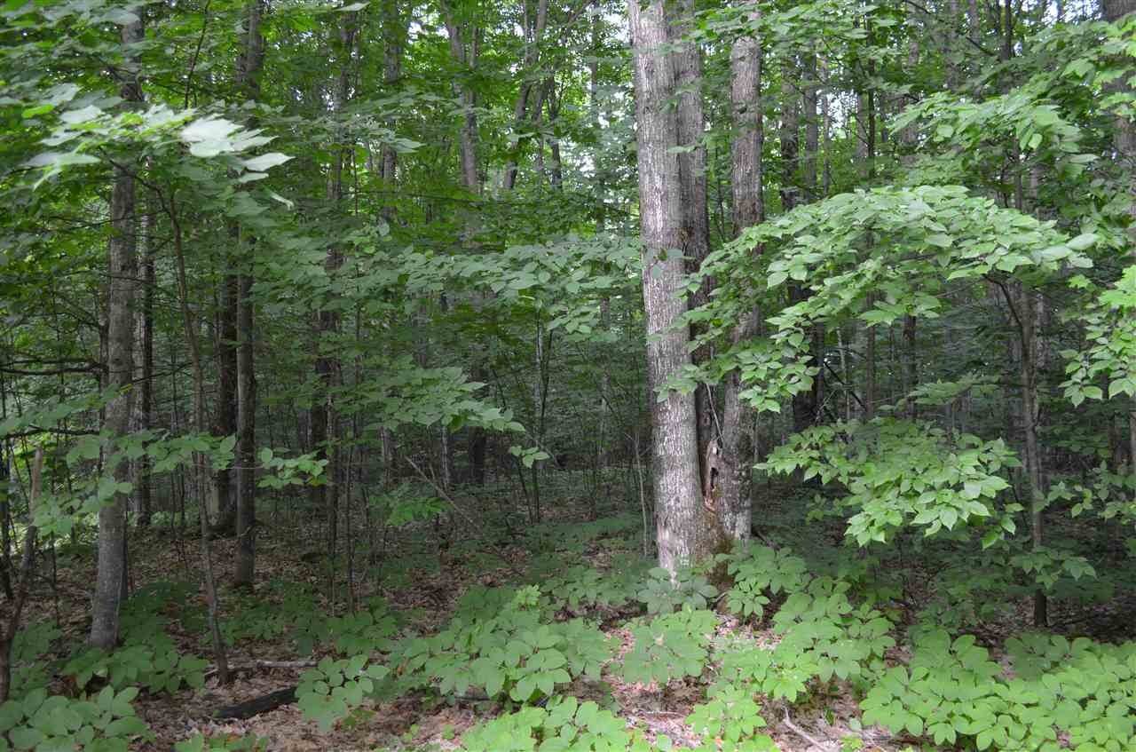 13. Land for Sale at 3431 Needles Drive Harbor Springs, Michigan 49740 United States