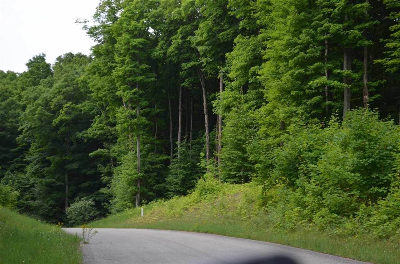 20. Land for Sale at 3431 Needles Drive Harbor Springs, Michigan 49740 United States