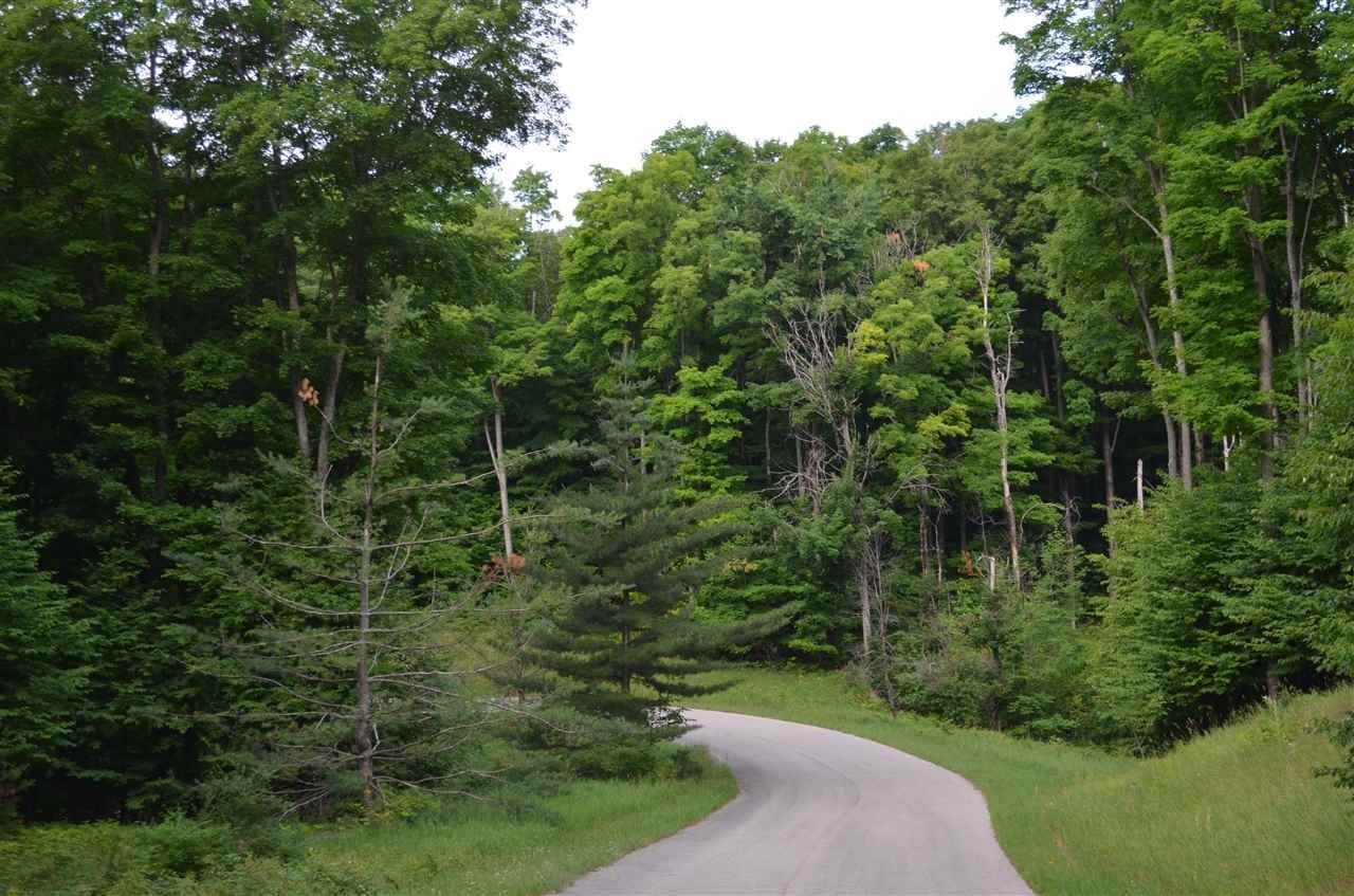 21. Land for Sale at 3431 Needles Drive Harbor Springs, Michigan 49740 United States
