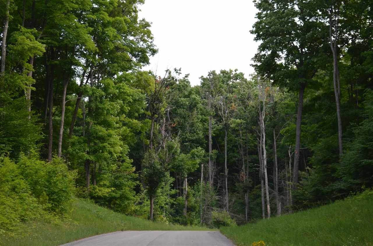22. Land for Sale at 3431 Needles Drive Harbor Springs, Michigan 49740 United States