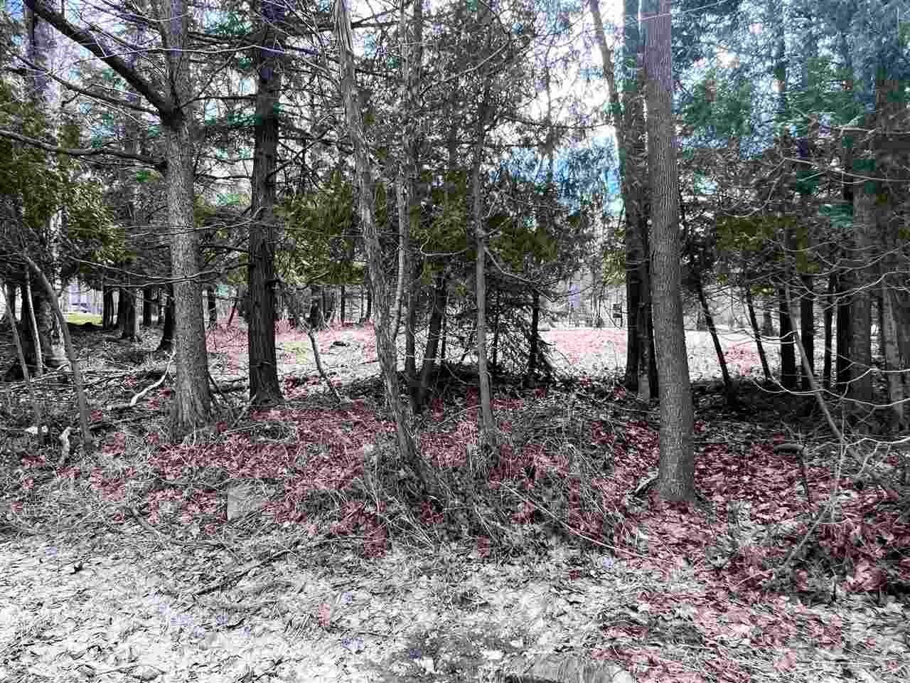 5. Land for Sale at Western Avenue Charlevoix, Michigan 49720 United States