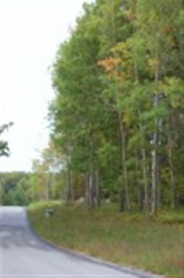 2. Land for Sale at 282 Lakeview Trail Kewadin, Michigan 49648 United States
