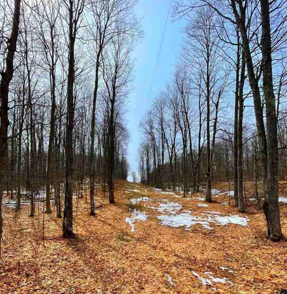 10. Land for Sale at N 7 Mile Road Lake City, Michigan 49667 United States