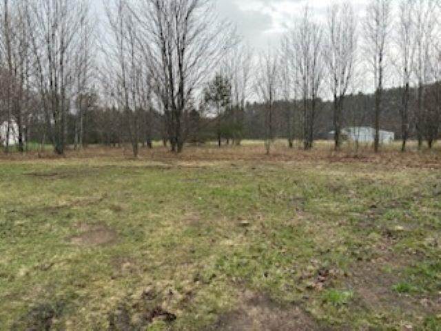 6. Land for Sale at 7780 Sophie's Way Harbor Springs, Michigan 49740 United States