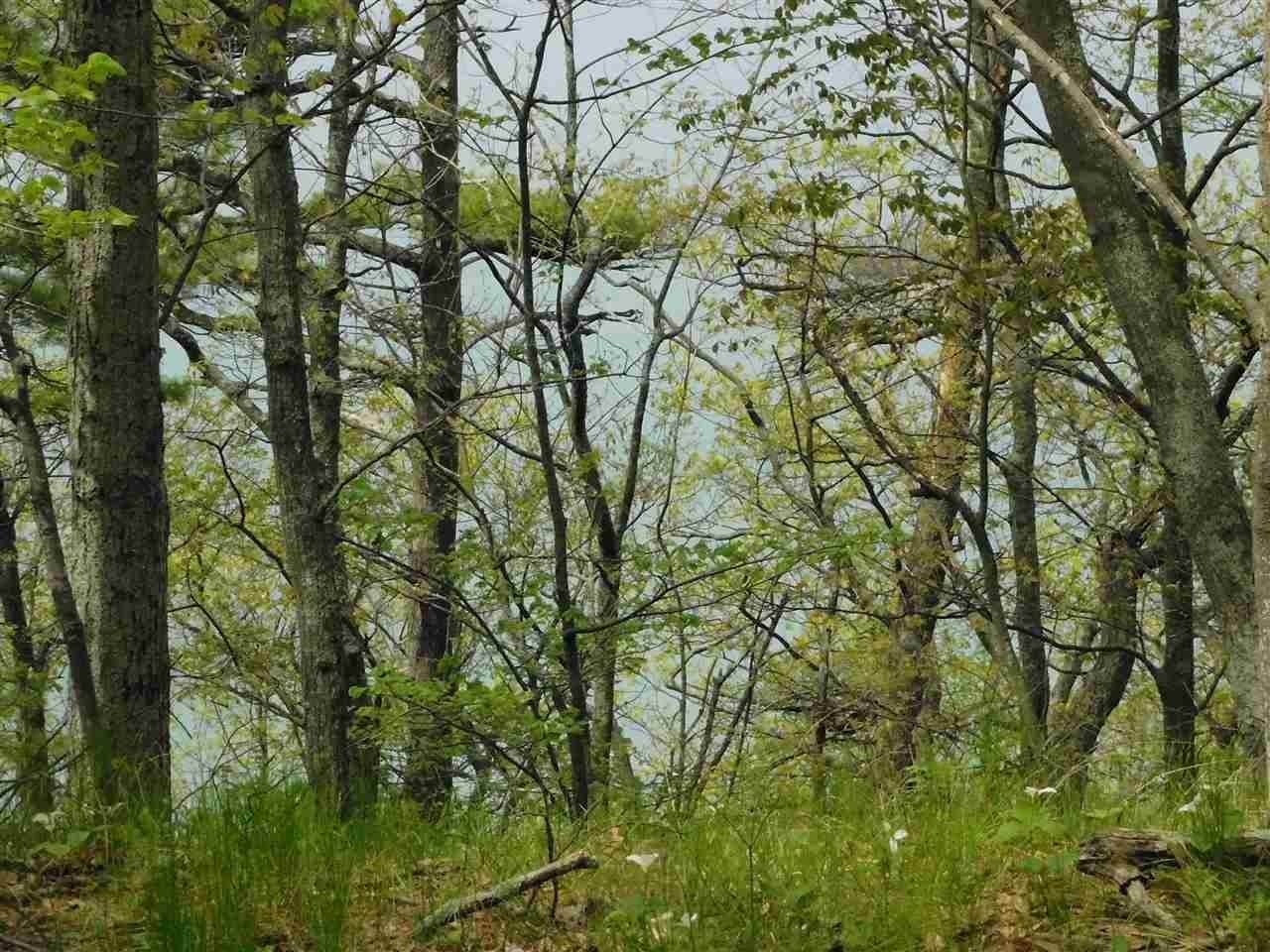 7. Land for Sale at 1790* S Lake Shore Drive Harbor Springs, Michigan 49740 United States