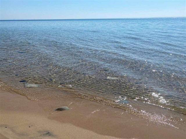 Land for Sale at tbd S Lakeshore Drive Harbor Springs, Michigan 49740 United States