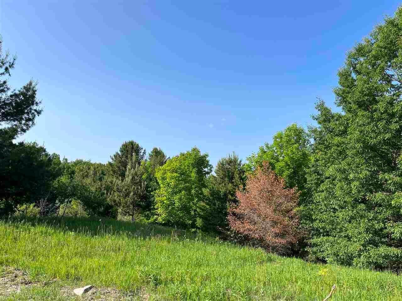 1. Land for Sale at Division Road Harbor Springs, Michigan 49740 United States