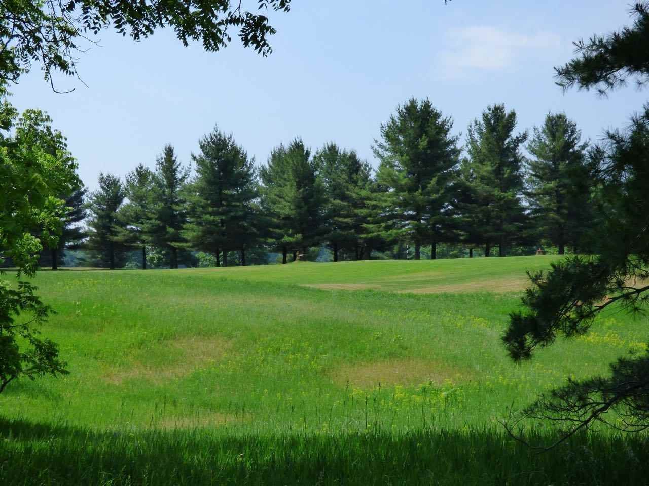 Land for Sale at Lot 7 Schoolcraft Road Bellaire, Michigan 49615 United States