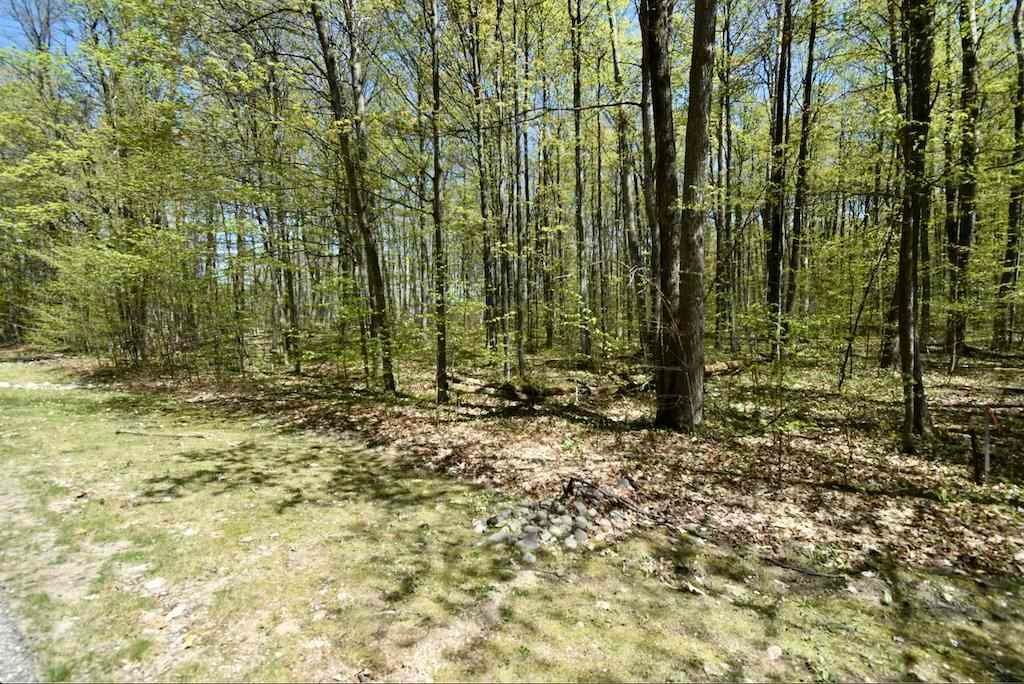 8. Land for Sale at Lot 15 Klein Strasse Bellaire, Michigan 49615 United States