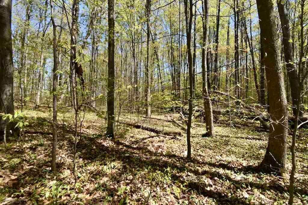 9. Land for Sale at Lot 15 Klein Strasse Bellaire, Michigan 49615 United States
