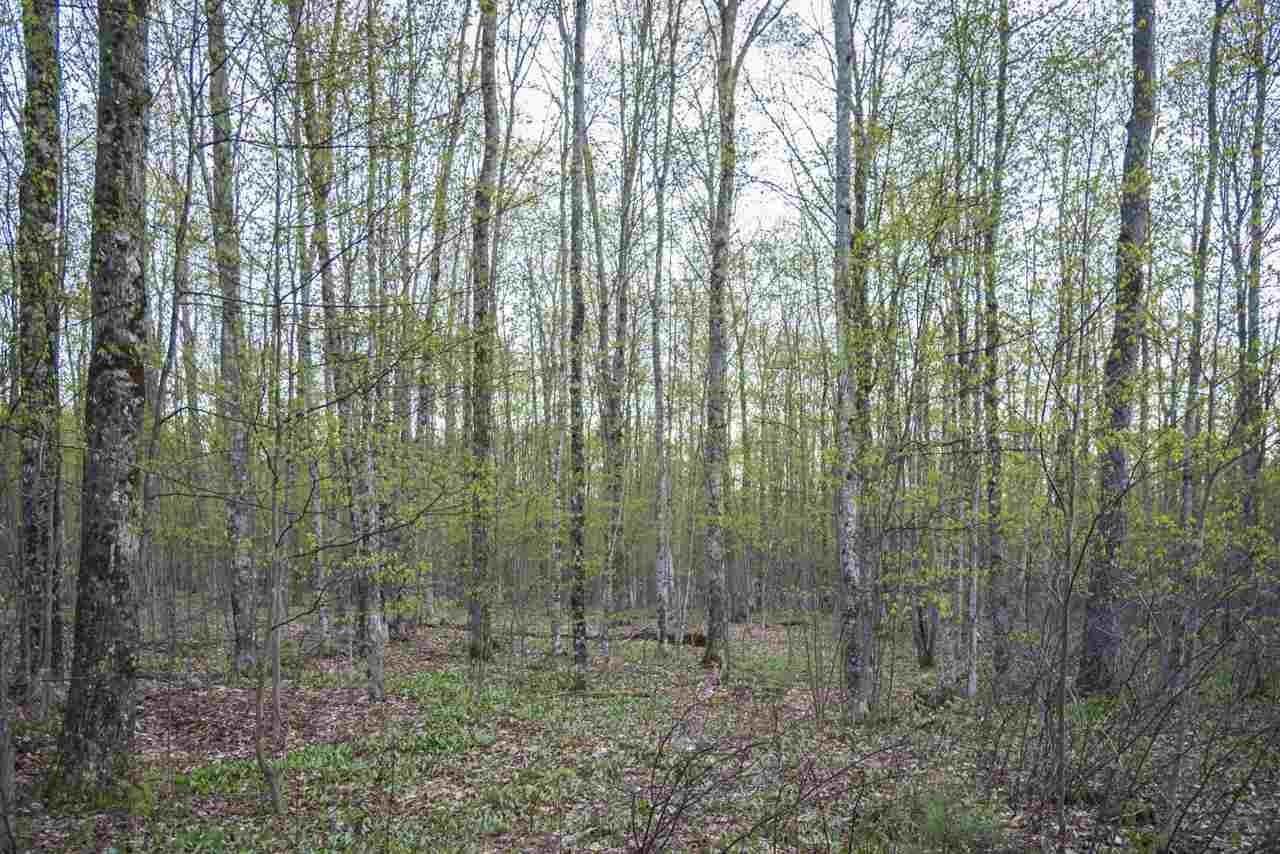 1. Land for Sale at TBD Thunder Trail Petoskey, Michigan 49770 United States