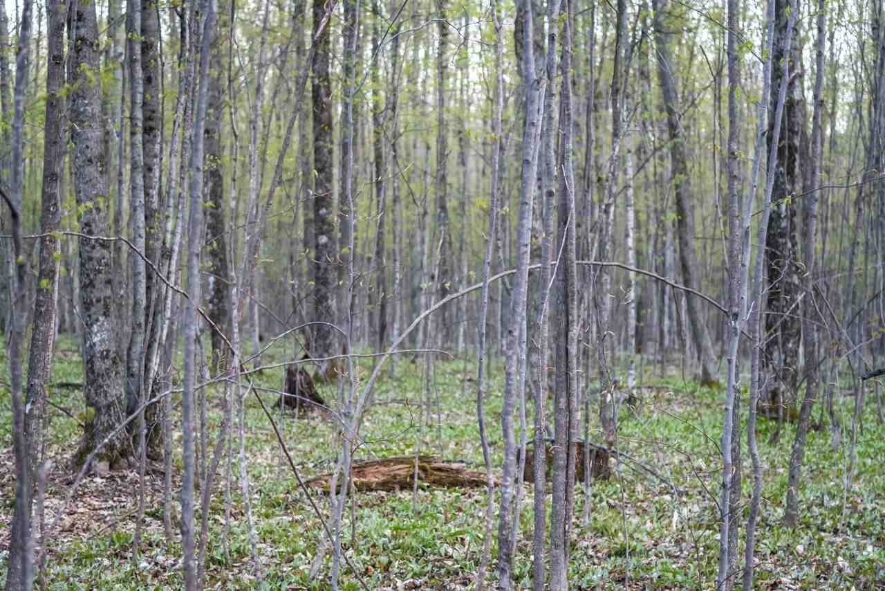 2. Land for Sale at TBD Thunder Trail Petoskey, Michigan 49770 United States