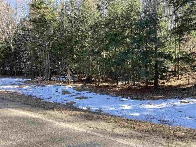 2. Land for Sale at 6397 Resort Pike Road Petoskey, Michigan 49770 United States