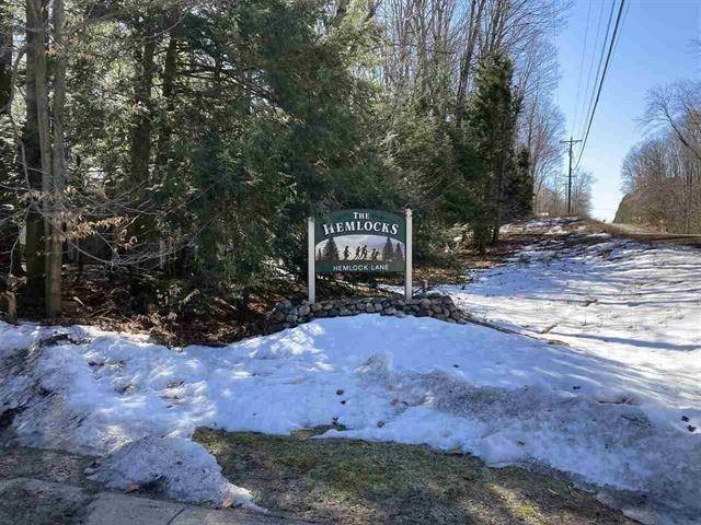 3. Land for Sale at 6397 Resort Pike Road Petoskey, Michigan 49770 United States