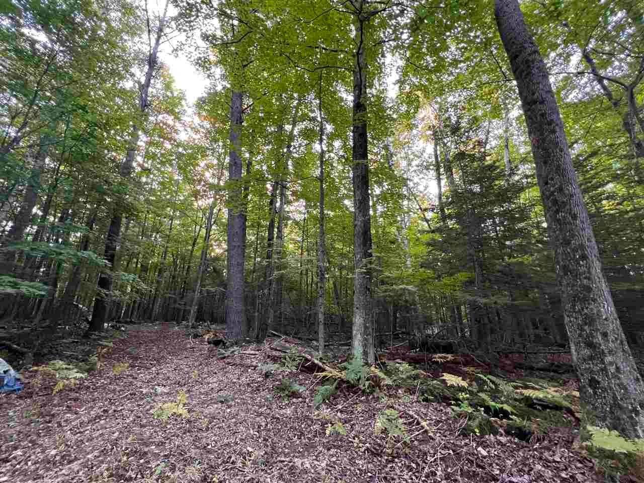 Land for Sale at East Side Drive Beaver Island, Michigan 49782 United States
