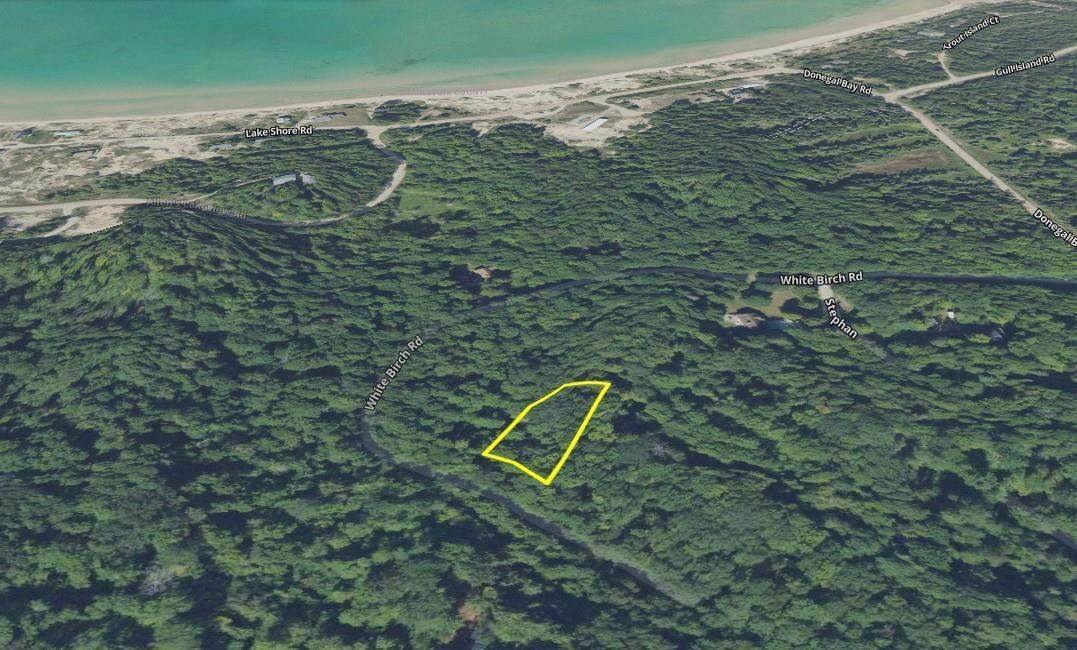 2. Land for Sale at Lot 236 White Birch Road Beaver Island, Michigan 49782 United States