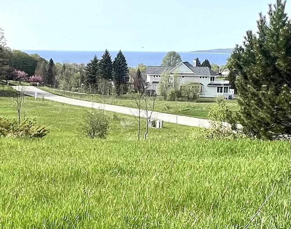 48. Land for Sale at TBD Crooked Tree Drive Petoskey, Michigan 49770 United States