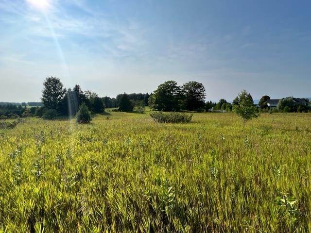 9. Land for Sale at TBD Crooked Tree Drive Petoskey, Michigan 49770 United States