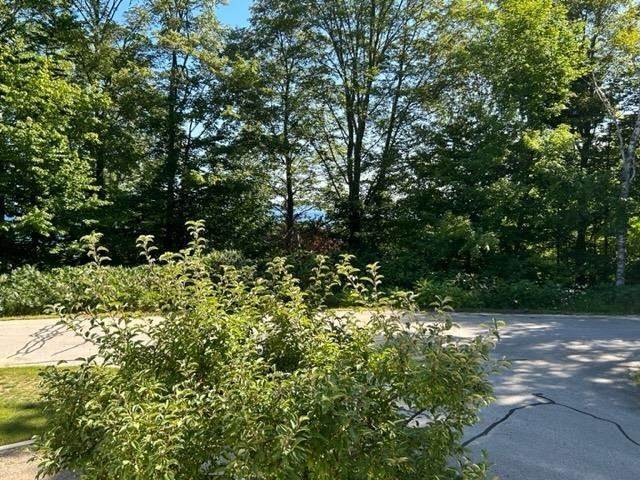 24. Single Family Homes for Sale at 7245 Upper Kelsey Drive Charlevoix, Michigan 49720 United States