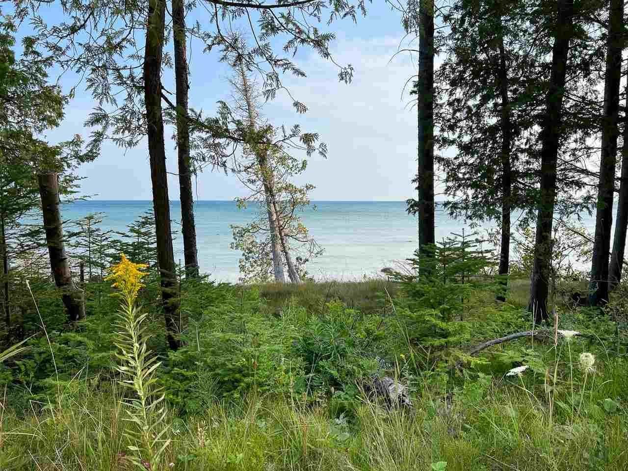 1. Land for Sale at 27835 South End Road Beaver Island, Michigan 49782 United States