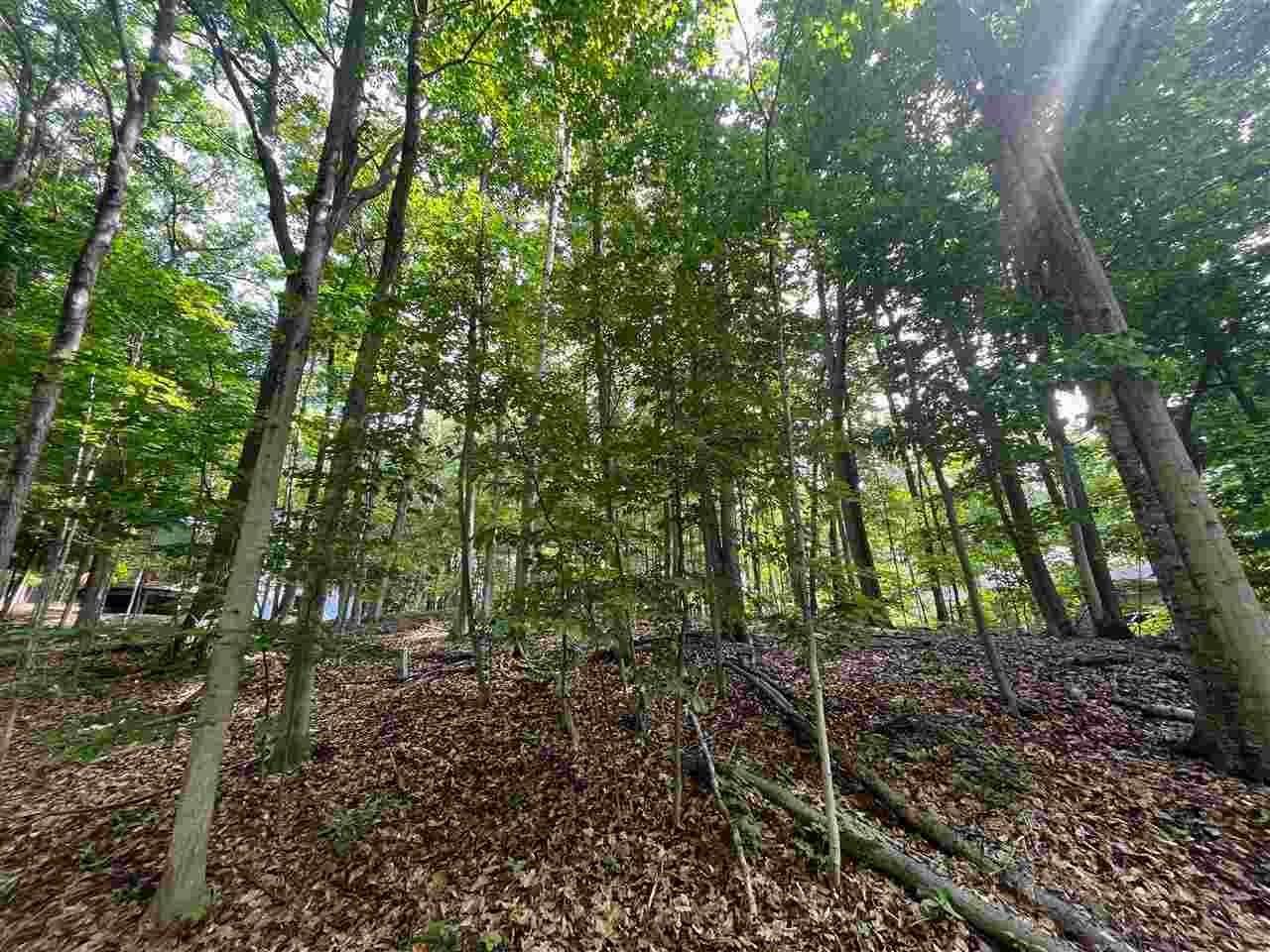 Land for Sale at 1652 Broken Bow Harbor Springs, Michigan 49740 United States