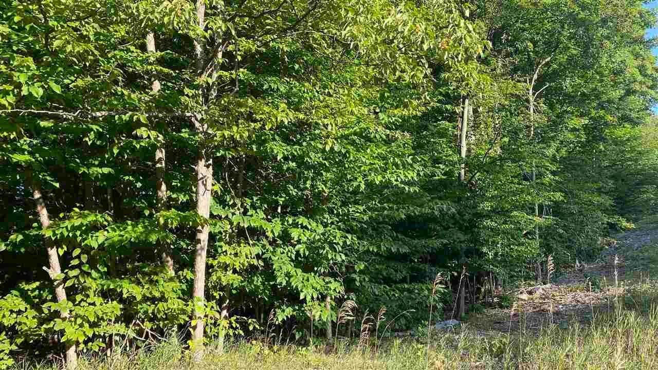 5. Land for Sale at Lot 61 East Village Drive Bellaire, Michigan 49615 United States