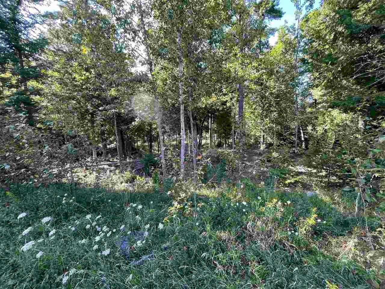 13. Land for Sale at 2 Pa Be Shan Trail Charlevoix, Michigan 49720 United States