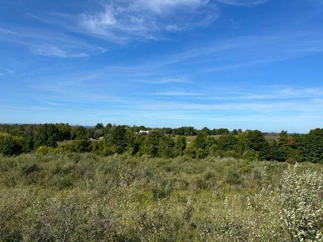 4. Land for Sale at TBD Foxview Drive Charlevoix, Michigan 49720 United States
