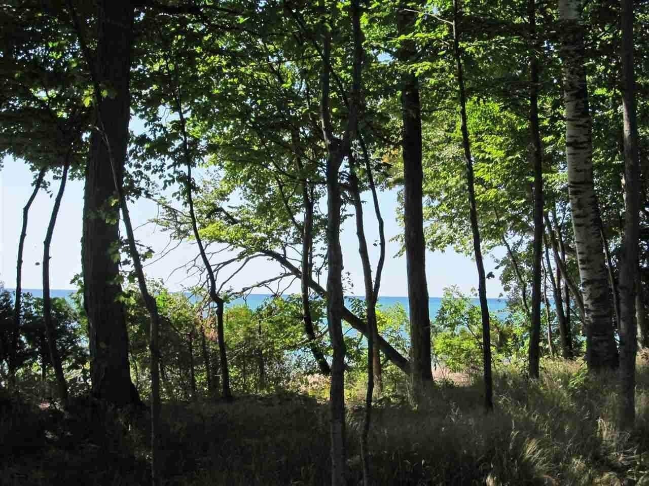 3. Land for Sale at TBD Idylwilde Harbor Springs, Michigan 49740 United States