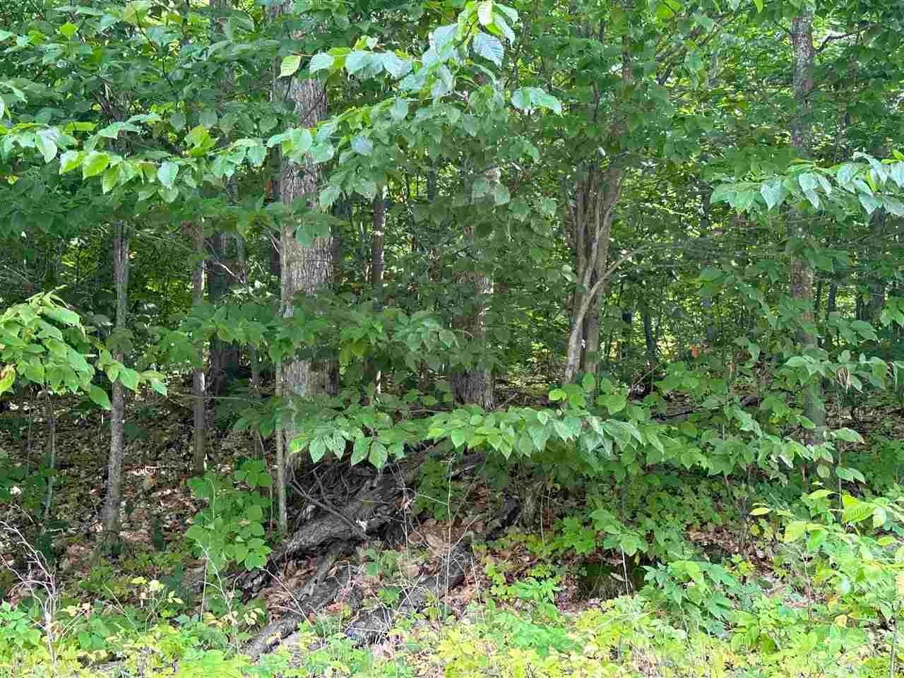 4. Land for Sale at Lot 7 & 8 High Pine Trail Boyne City, Michigan 49712 United States