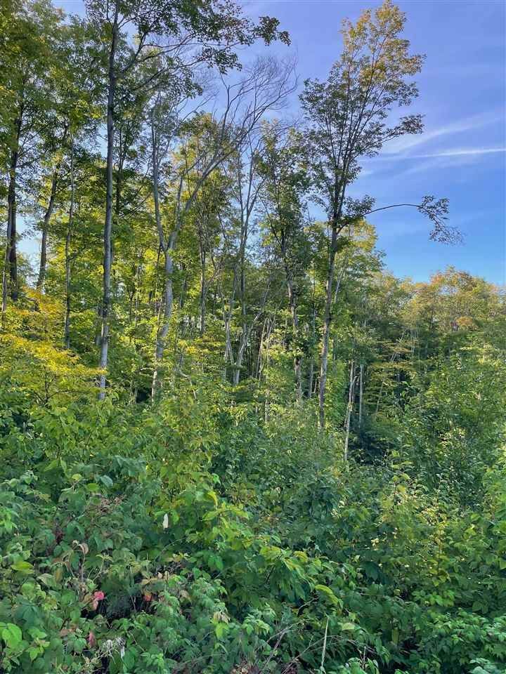 5. Land for Sale at Lot 7 & 8 High Pine Trail Boyne City, Michigan 49712 United States