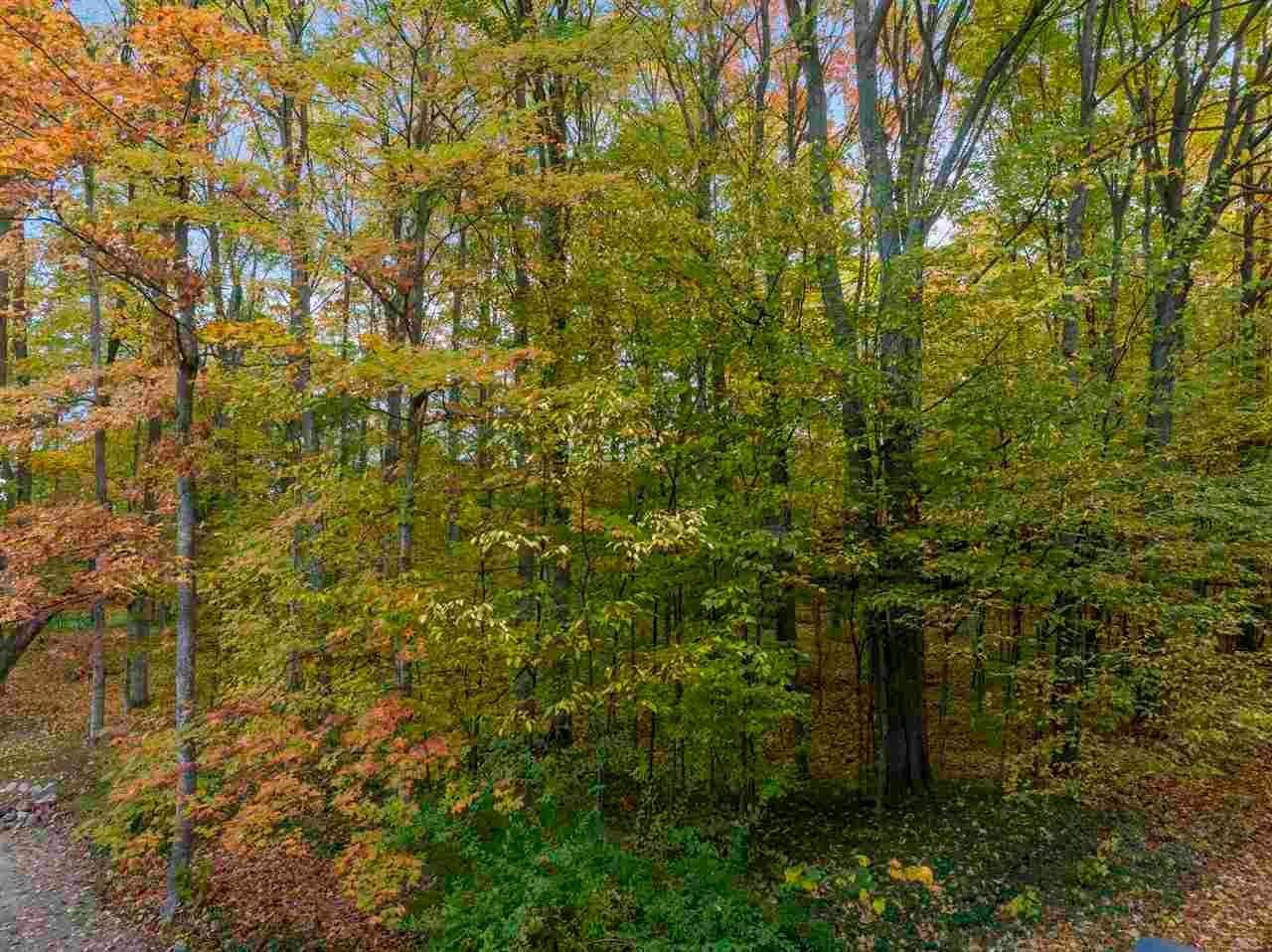 4. Land for Sale at 96 Stags Run Harbor Springs, Michigan 49740 United States