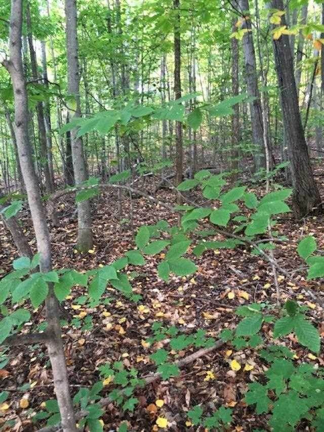 3. Land for Sale at Brubaker Road Petoskey, Michigan 49770 United States