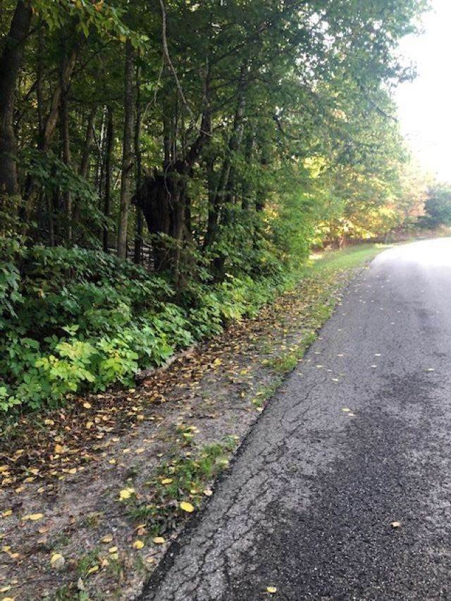 4. Land for Sale at Brubaker Road Petoskey, Michigan 49770 United States