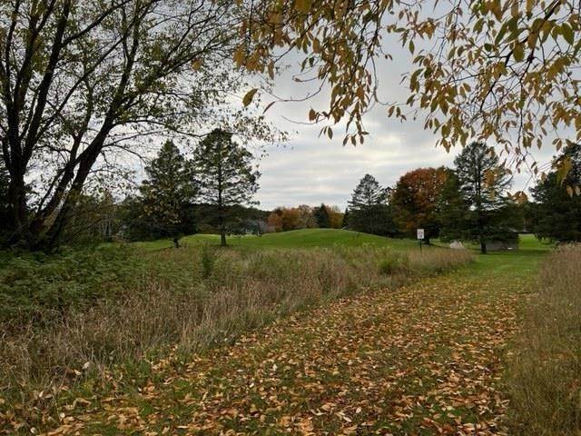 2. Land for Sale at 2889 Greenbriar Harbor Springs, Michigan 49740 United States