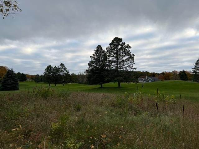 4. Land for Sale at 2889 Greenbriar Harbor Springs, Michigan 49740 United States